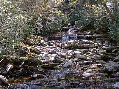 [This is a wide section of rocks over which water is tumbling down the incline. There is vegetation on either side of the wide shallow water stream.]